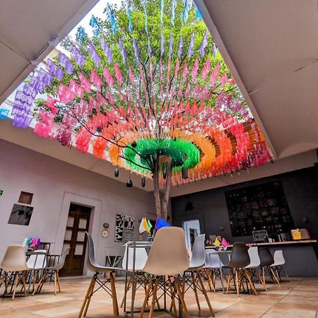 Bkl Hotel Oaxaca Dış mekan fotoğraf