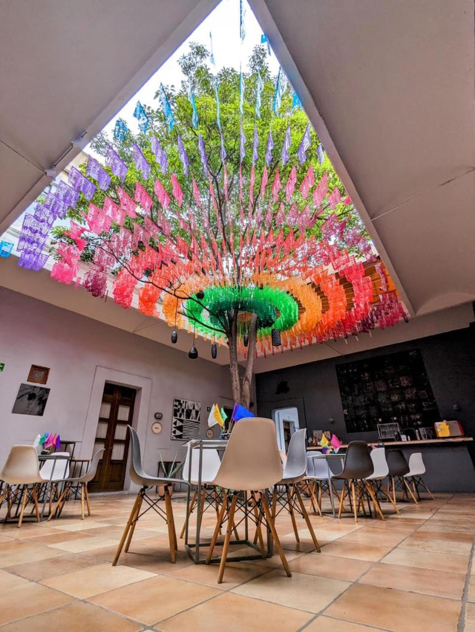 Bkl Hotel Oaxaca Dış mekan fotoğraf